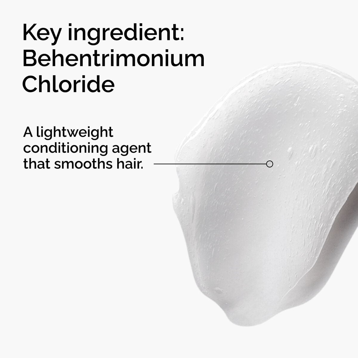 behentrimonium-chloride-2-conditioner-y2 FY25-D41247-ORD-Web-PDP-BTC-1x1-EN-2a.jpg