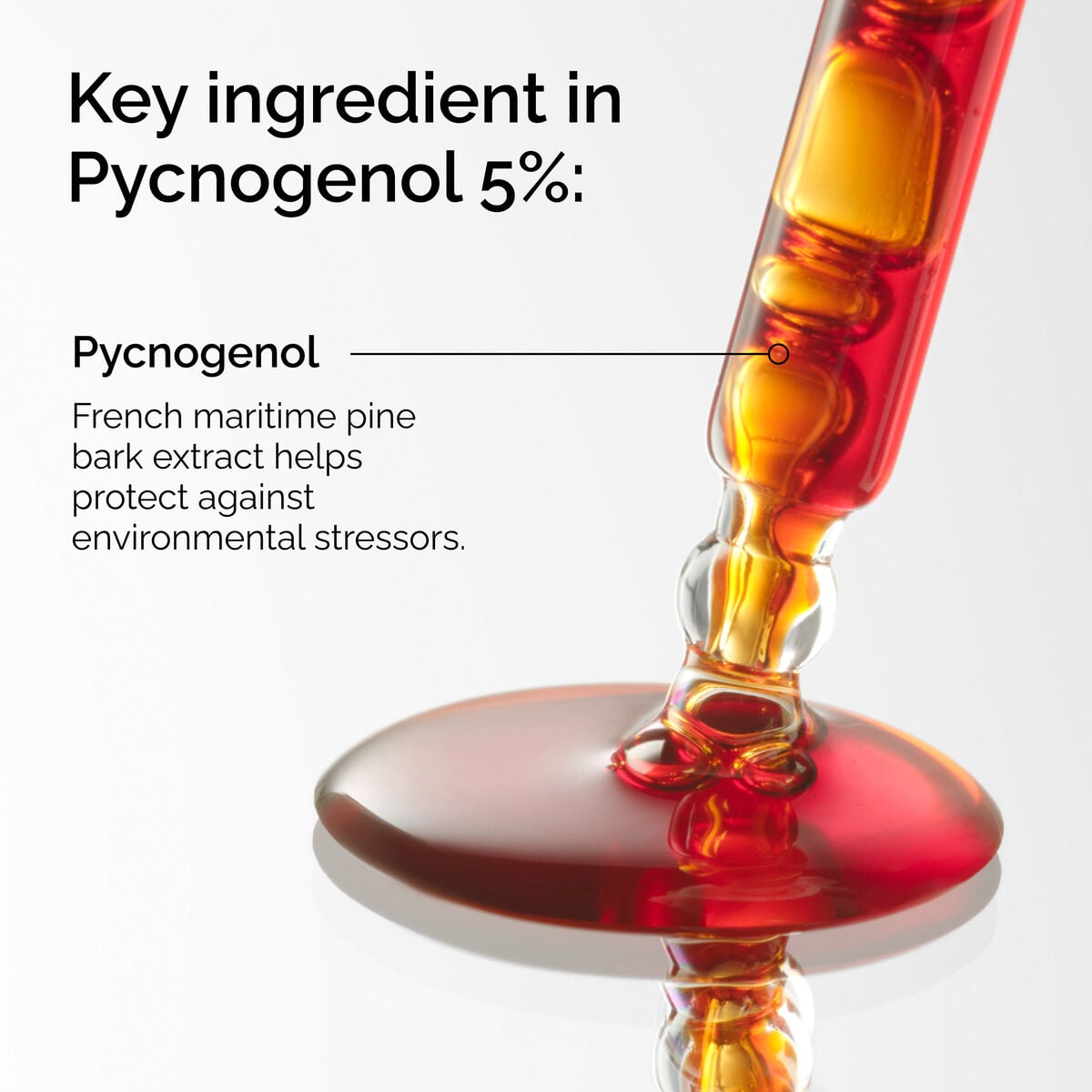 pycnogenol-5-p8 FY25-D41247-ORD-Web-PDP-Pyc-5pct-1x1-EN-2a.jpg