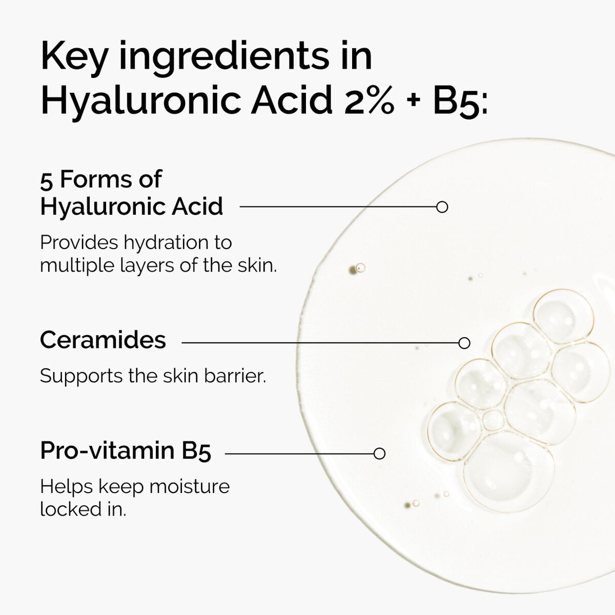 hyaluronic-acid-2-b5-with-ceramides-k6 ord-hyaluronic-acid-2pct-b5-hydrating-serum-ingredients-graphic.jpg