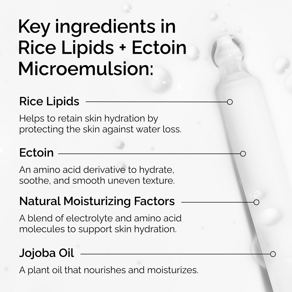 rice-lipids-ectoin-microemulsion-p1 ord-rice-lipids-ectoin-microemulsion-key-ingredients.png