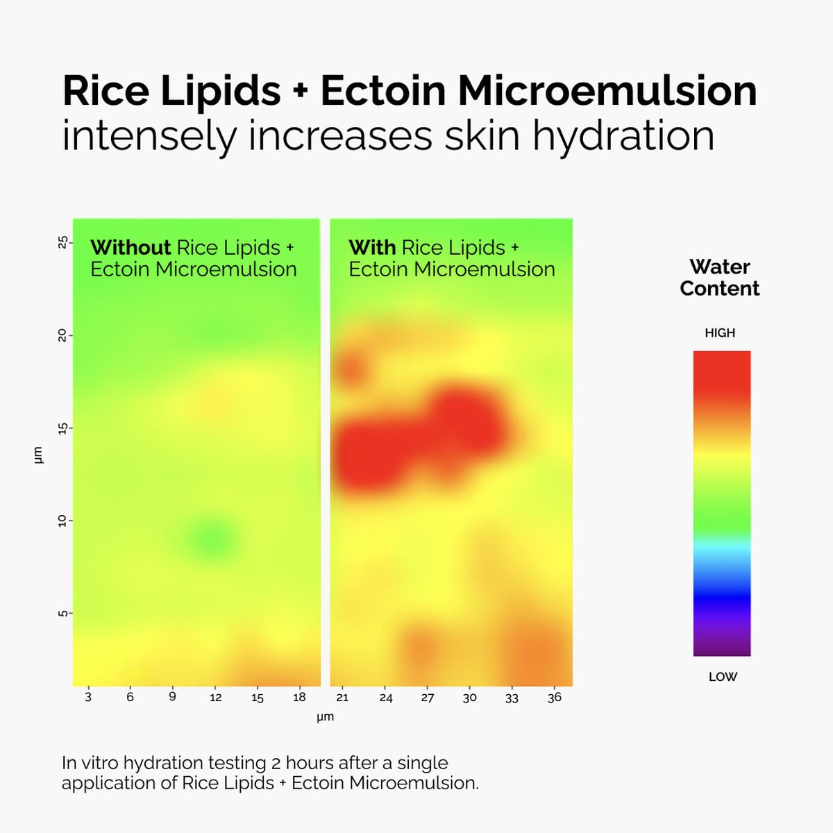 rice-lipids-ectoin-microemulsion-p1 ord-rice-lipids-ectoin-microemulsion-thermal-before-after.jpg